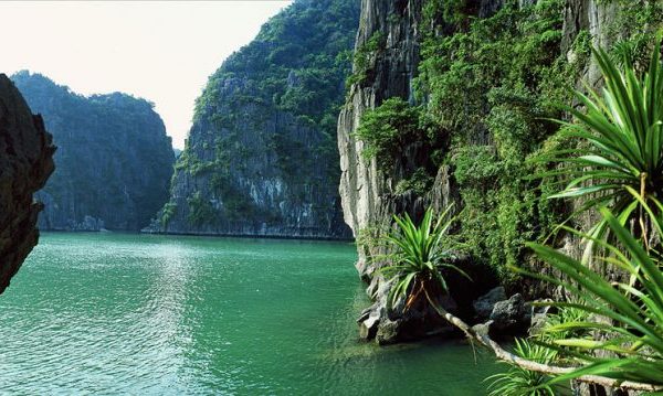 Croisière Baie d'Halong Vietnam