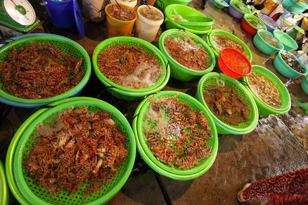 Crabes baie Halong