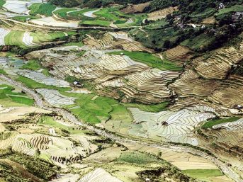 Rizieres-Sapa